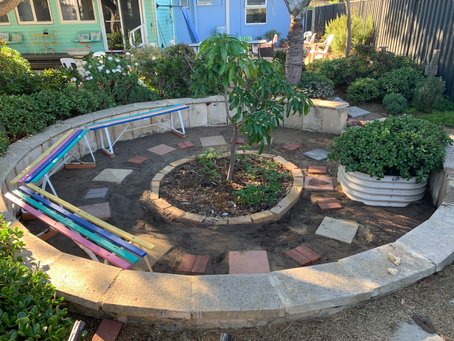 Things Happening in the Backyard at Mandurah Meditation